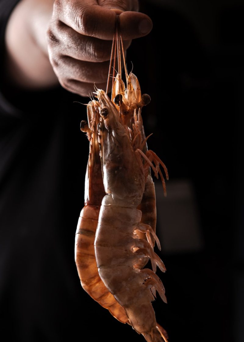 WhatsApp Image 2025-09-25 at 14.33.40_df281001